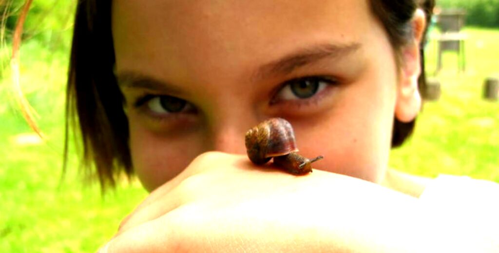 Slow Food Burgenland